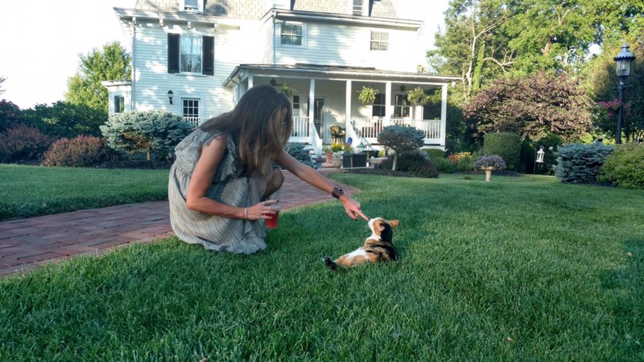 L'Agence grey snake dress